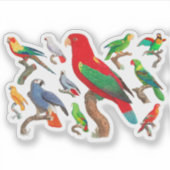 Sticker Parrots Galore (Devant)