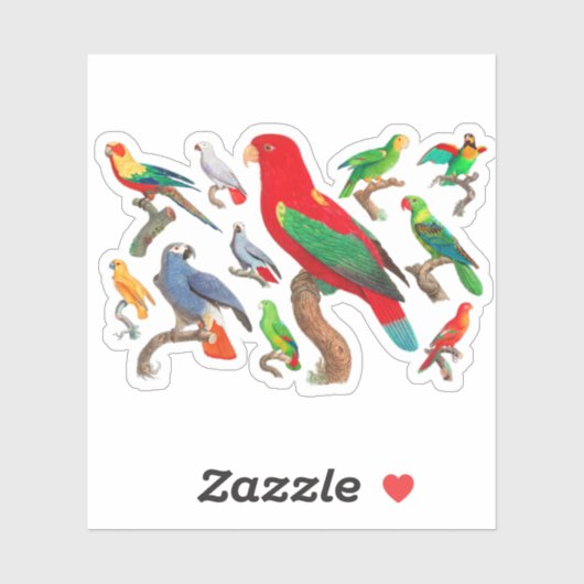 Sticker Parrots Galore (Feuille)