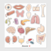 Sticker Parties et organes du corps humain éducatif (Feuille)