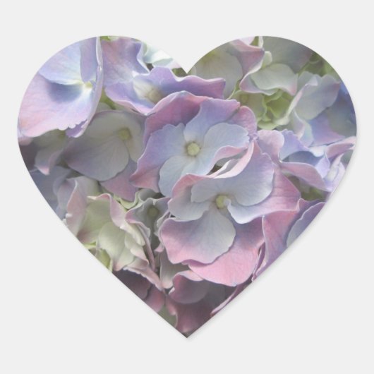 Sticker - Pastel Regenbooghydrangea (Voorkant)