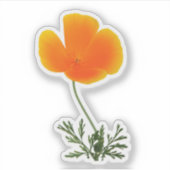 Sticker pavot californien orange (Devant)