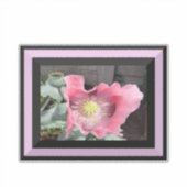 Sticker Pavot rose avec bord bordé (Devant)