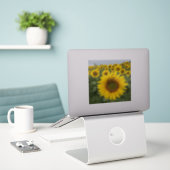 Sticker Pays Rustique Yellow Sunflowers Harvest (Ordinateur portable sur le bureau)