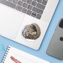 Sticker PCRF Pangolin Rollé