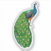 Sticker Peacock Small (Devant)
