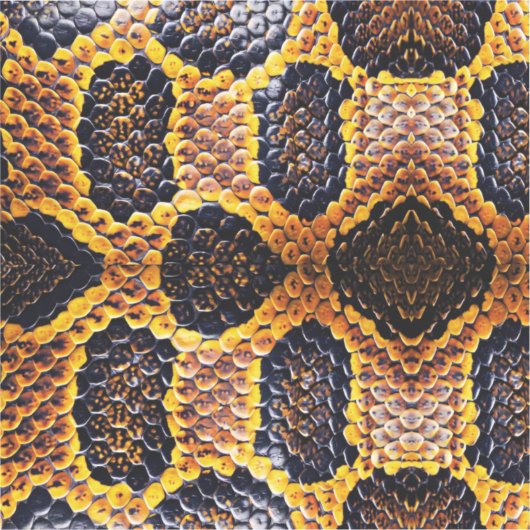 Sticker peau de serpent python (Recto)