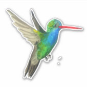 Sticker Peinture à l'aquarelle de colibri à bec large (Devant)