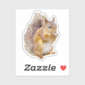 Sticker Peinture à l'aquarelle d'écureuil rouge (Feuille)