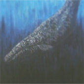 Sticker Peinture de baleine grise (Devant)