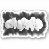 Sticker Peinture d'orchidées d'aquarelle blanche noire (Devant)