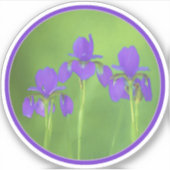 Sticker Peinture Iris Violet - Art Fleur Originale (Devant)
