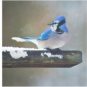 Sticker Peinture Jay Bleu - Art Oiseau Original (Devant)