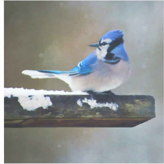 Sticker Peinture Jay Bleu - Art Oiseau Original (Devant)