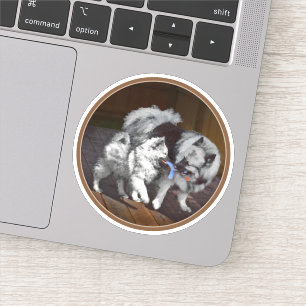 Sticker Peinture Keeshond Playtime - Jolie art original ch
