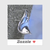 Sticker Peinture Nuthatch à poitrine blanche Art original (Feuille)