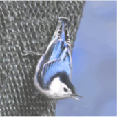 Sticker Peinture Nuthatch à poitrine blanche Art original (Devant)