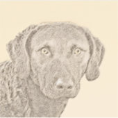 Sticker Peinture originale de chien par Retriever de Chesa (Devant)