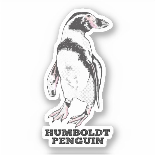 Sticker Penguin de Humboldt (Devant)
