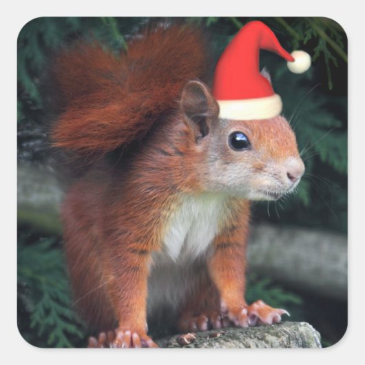 Sticker père Noël Claws (Devant)