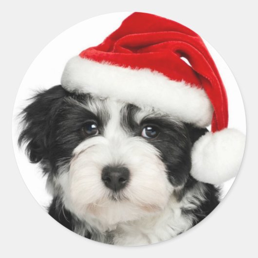 Sticker père Noël Puppy Round (Devant)