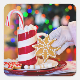 Sticker père Noël Traitements