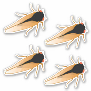 Sticker Périodique 17 ans Cicadas Magicicada