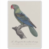 Sticker Perroquet à grand bec (Devant)