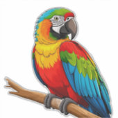 Sticker Perroquet Arc-en-Ciel Vibrant (Devant)