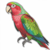 Sticker Perroquet arc-en-ciel vibrant (Devant)