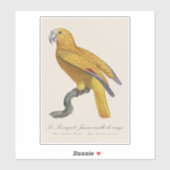 Sticker Perroquet de Paradis de Cuba, Psittacus Paradisi (Feuille)