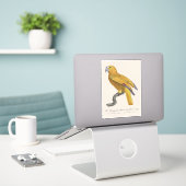 Sticker Perroquet de Paradis de Cuba, Psittacus Paradisi (Ordinateur portable sur le bureau)