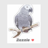 Sticker Perroquet gris d'Afrique (Feuille)