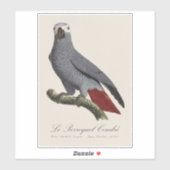 Sticker Perroquet gris, Psittacus erithacus, vintage (Feuille)