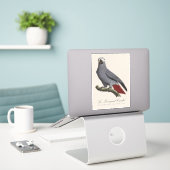 Sticker Perroquet gris, Psittacus erithacus, vintage (Ordinateur portable sur le bureau)