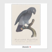 Sticker Perroquet gris Timneh, Psittacus Timneh (Feuille)