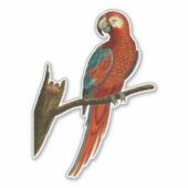 Sticker Perroquet sur une branche (Devant)