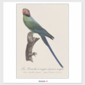 Sticker Perruche à longue queue, Psittacula Longicauda (Feuille)