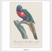 Sticker Perruche a tete bleue / Rainbow lorikeet (Feuille)