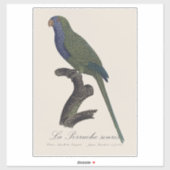 Sticker Perruche Moine, Myiopsitta Monachus (Feuille)