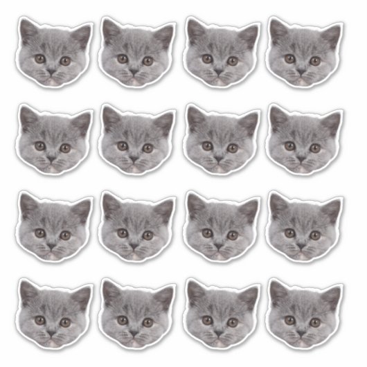 Sticker Personnalisé Cute Chat Face 16 Photos Vinyl (Devant)