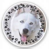 Sticker Personnaliser Animaux de compagnie Photo Chien Emp (Recto)