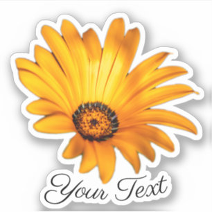 Sticker Pétales de fleurs jaunes de fleurs d'oranger au pr