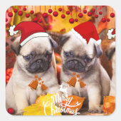 Sticker petit Carlin (Devant)