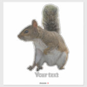 Sticker Petit écureuil sauvage (Feuille)