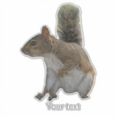 Sticker Petit écureuil sauvage (Devant)