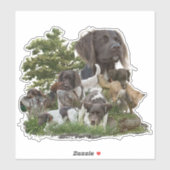 Sticker Petit Munsterlander (Feuille)