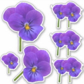 Sticker Petite Pansies pourpres (Devant)