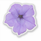 Sticker Petunia pourpre (Devant)