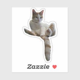 Sticker Peut-être devriez-vous couvrir cela ? Chat