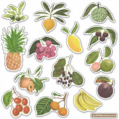 Sticker Philippine / Fruits tropicaux (Devant)